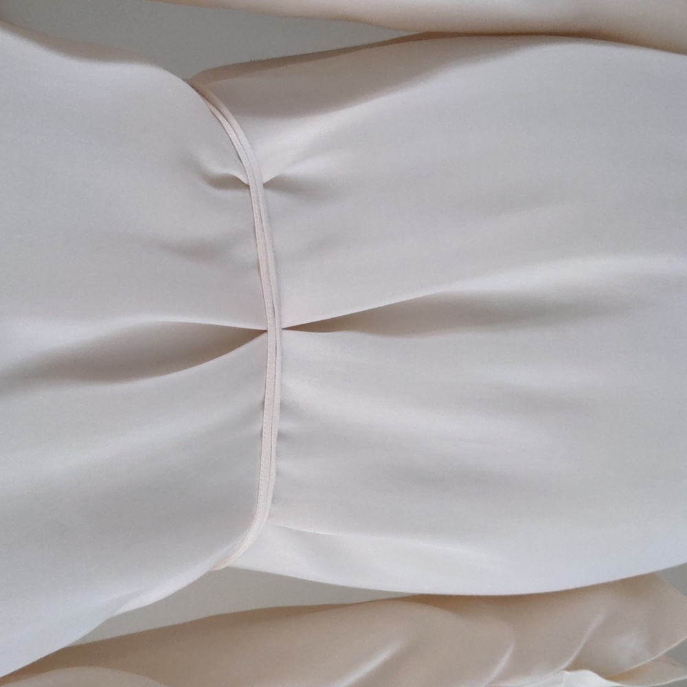 Zara Top - Picture 7 of 12